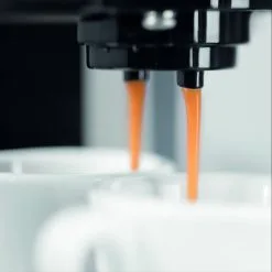 Gaggia Carezza Espresso Machine -Deals Coffee & Espresso Store carezza brewing spouts ri8525 47